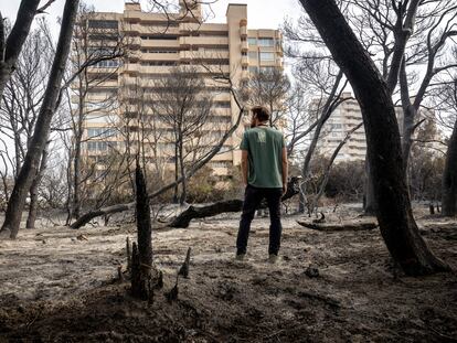 Un vecino en el bosque quemado de la Dehesa-El Saler de Valencia, junto a una de las torres más cercanas al fuego, este pasado jueves.