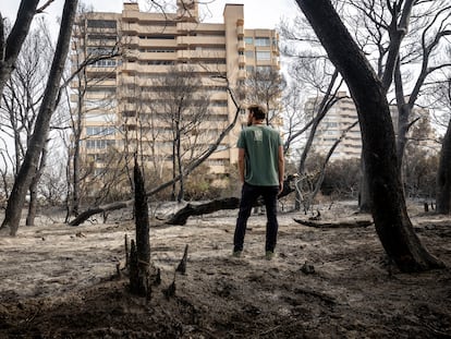 Un vecino en el bosque quemado de la Dehesa-El Saler de Valencia, junto a una de las torres más cercanas al fuego, este pasado jueves.