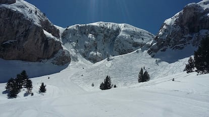 En els darrers quinze dies ha caigut fins a un metre de neu. 