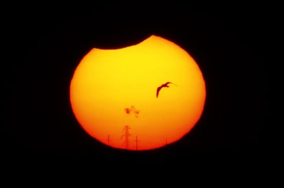 El eclipse comenzó a las 16:54 CST (21:54 GMT) y alcanzó su máximo esplendor una hora más tarde, informó la agencia espacial estadounidense (NASA).. En la imagen, Lago Hefner, Oklahoma.