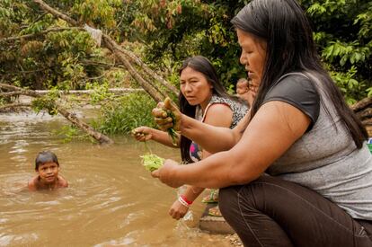 Una vez que la chambira ha sido matizada manualmente con el pigmento, las mujeres se dirigen al río. Elena y Mencay mojan sus hilos de chambira con agua para dejar que la planta absorba el color de la hoja que han usado como pigmento. De esta manera obtienen un color natural y duradero para sus artesanías. 