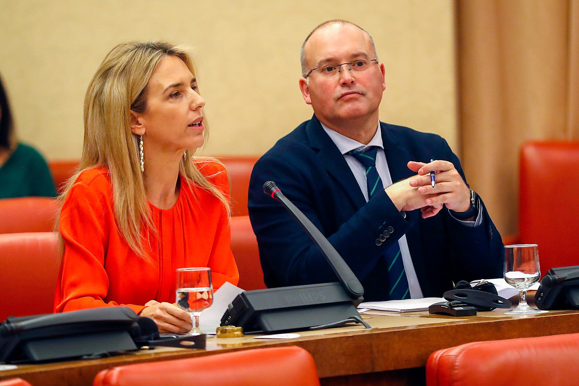  La diputada del PP Cayetana Álvarez de Toledo y su compañero de formación Miguel Tellado, en una reunión en el Congreso el 24 de enero. 