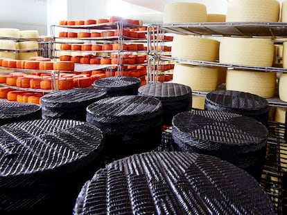 España cuenta con una enorme variedad quesera: más de 150 tipos y sabores diferentes.