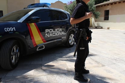 Un agente de la Policía Nacional frente a un vehículo oficial.