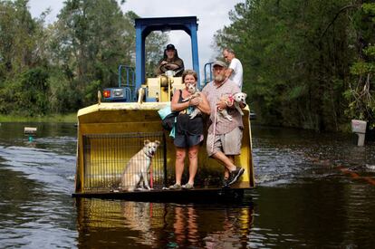 Varias personas y sus mascotas son rescatadas por un tractor al desbordarse el río Cape Fear en Burgaw, Carolina del Norte.