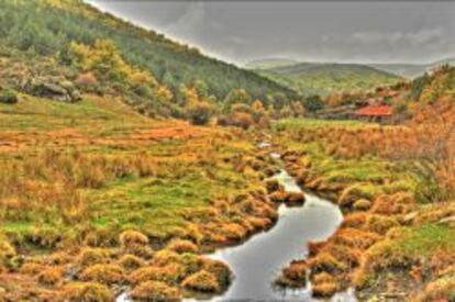 Imagen otoñal del río Lillas.