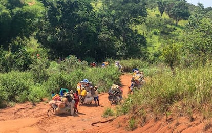 La mayor parte de los congoleños se dirigen a la provincia de Kasai, y un número significativo también a los territorios de Kazumba y Luiza, en Kasai Central.