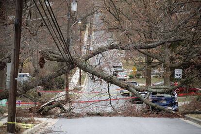 Los fuertes vientos derribaron un árbol sobre los cables eléctricos, lo que ha provocado el cierre de una calle y automóviles dañados.