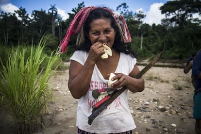 Madre de dos hijos nacidos en la comunidad y educados desde la tradición harakmbut, consiguió que salieran de la reserva y estudiaran fuera. En la imagen, Guadalupe se dirige a recolectar el barbastro, una planta ancestral y muy tóxica que sirve para pescar. La plantación es secreta, ya que algunos jóvenes la han utilizado para suicidarse, una práctica que, según ella, "no se conocía" antes de la llegada del hombre blanco a sus comunidades. "La mayoría de los suicidios son por amor", comenta Guadalupe, que fue nuestra anfitriona en este viaje a la selva peruana. Nos cuenta que, poco tiempo antes de nuestra visita, una chica que vio que su novio la abandonaba por otra, buscó la plantación y se suicidó tomando el jugo de la raíz. Esto hizo que el resto de mujeres buscaran un rincón escondido dentro de la selva para plantar el barbastro y hacerlo más inaccesible.