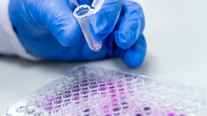 Los hospitales españoles, a la cabeza de la investigación clínica en Europa