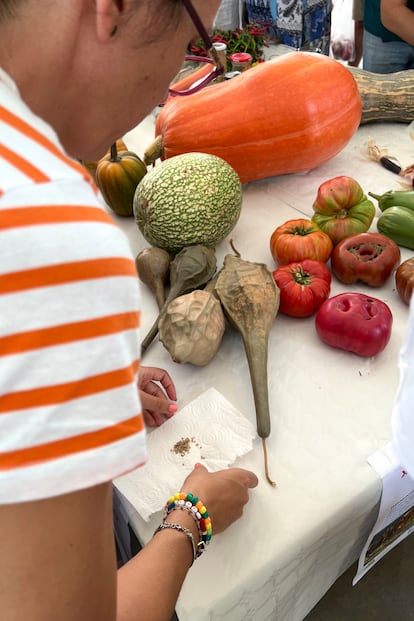 Feria de Hortalizas antiguas e intercambio de semillas en Nigüelas (Granada) el pasado 11 de septiembre.