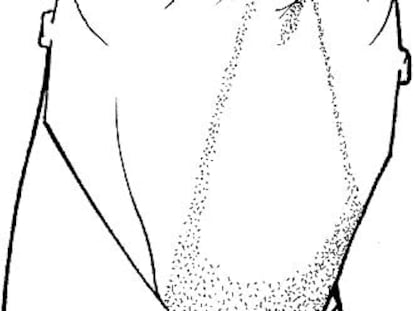 Caricatura de Samuel