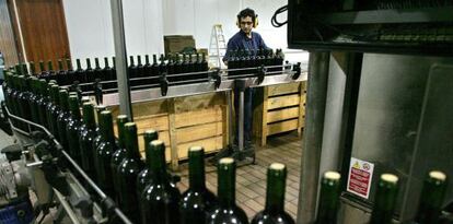 La línea de embotellado de una bodega española