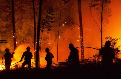 Portugal se pregunta cuáles fueron las causas profundas del mortífero incendio contra el que seguían luchando miles de bomberos, que suscita dudas sobre la gestión de los bosques y las carreteras. En la imagen, un grupo de bomberos intentan apagar las llamas cerca de la localidad de Pedrógão Grande, el 19 de junio de 2017.