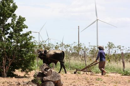 Complejo eólico de Iberdrola en Los Calangos (Brasil)