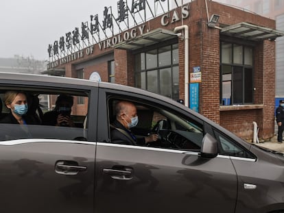 Los investigadores de la OMS llegan al Instituto de Virología de Wuhan, el pasado 3 de febrero.