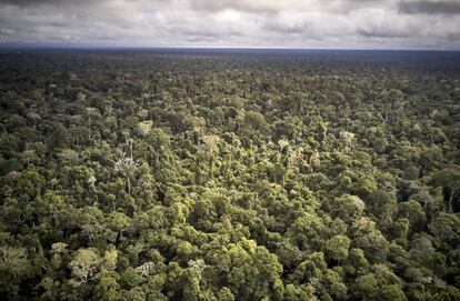 Vista aérea do Território Indígena Maró.