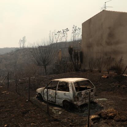 Dionysos (Greece), 12/08/2024.- A burnt car after a wildfire in Dionysos, north Attica, Greece, 12 August 2024. The wildfire that broke out in Varnavas on 11 August afternoon continues to rage in Eastern Attica on 12 August, fanned and spread to a front extending more than 20 kilometers. According to the fire department, the fire-fighting effort is extremely difficult as the wind keeps changing direction, while the three main fronts of concern are in Grammatiko, Penteli and the Anatoli settlement in Nea Makri. (incendio forestal, Grecia) EFE/EPA/GEORGE VITSARAS