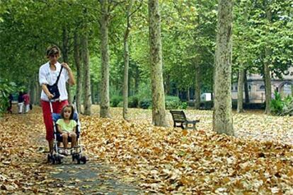 Imagen otoñal captada hoy en Toulouse donde, a causa del calor y las lluvias, los árboles están perdiendo sus hojas dos meses antes.