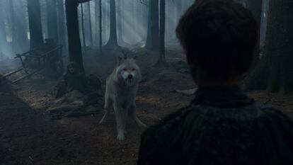 La masacre de lobos continúa y nos hacía ilusión ver una reunión de Starks y Huargos en el futuro. Esta temporada hemos visto la muerte de Verano y Peludo, los lobos de Bran y Rickon. De los seis que fueron presentados al principio de la serie ya solo quedan dos, Fantasma (al que vimos en la resurrección de Jon pero no en la batalla de los bastardos) y, supuestamente, Nymeria, la loba perdida de Arya. En los libros se cuenta que hay una loba que lidera una camada por los bosques e incluso la joven Stark sueña con ella.
