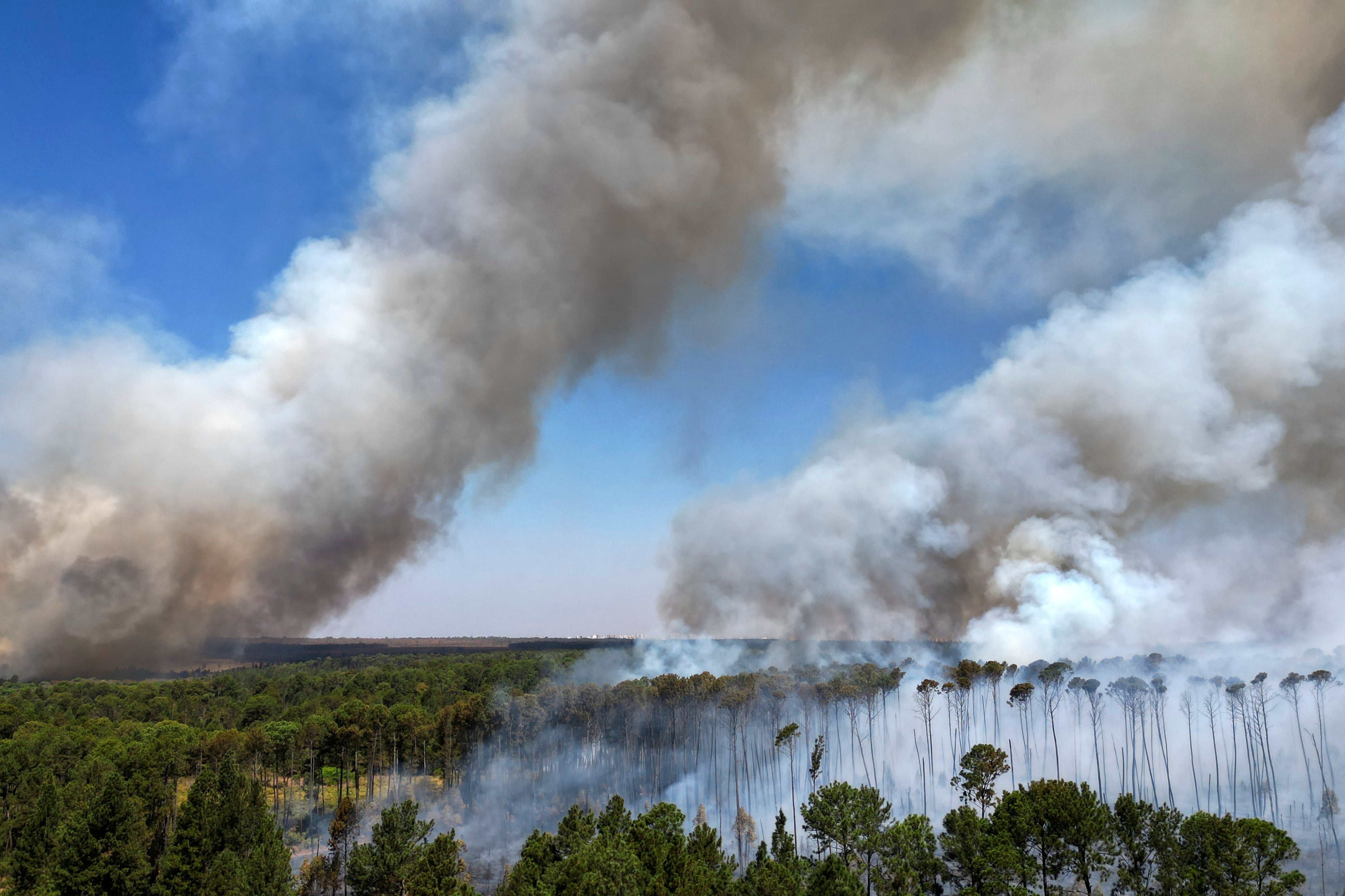 Los incendios se disparan en Brasil y en 2024 quemaron una superficie equivalente a Italia