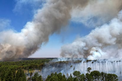 El humo se eleva mientras los incendios se extienden por el Bosque Nacional de Brasilia, el pasado día 3.