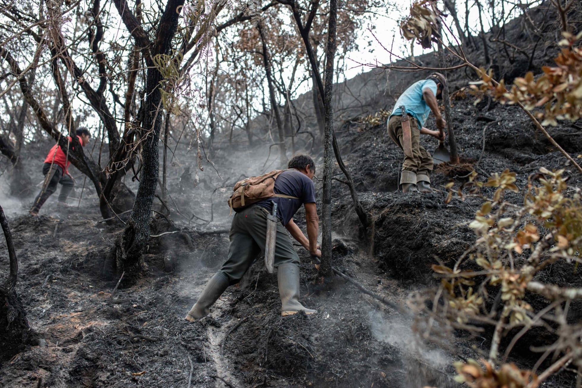 Incendios Forestales En América Latina El Fuego Devora Sudamérica Y