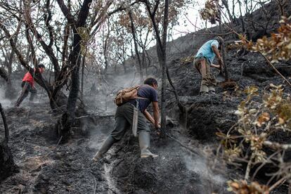 Vecinos voluntarios acuden a apagar un incendio forestal en el departamento peruano de Amazonas (Perú), el pasado día 21.