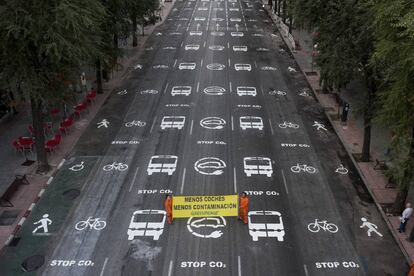 Una veintena de activistas de Greenpeace han pintado hoy más 200 señales de tráfico en una calle del centro de Madrid.