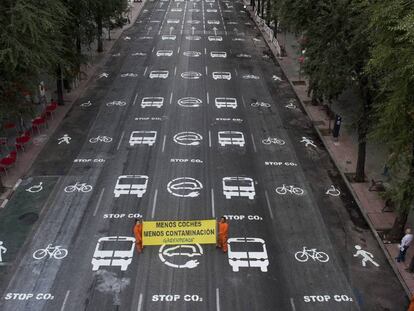Una veintena de activistas de Greenpeace han pintado hoy m&aacute;s 200 se&ntilde;ales de tr&aacute;fico en una calle del centro de Madrid.