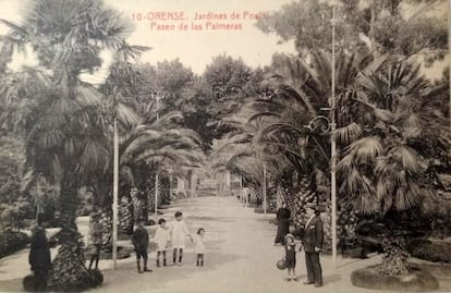 Paseo de palmeras del Jardín del Posío en una postal antigua.