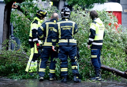 Bomberos de Madrid retiran las ramas de un árbol afectado por la climatología.