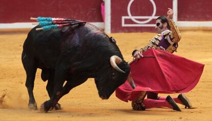 El diestro Juan Jos&eacute; Padilla toreando durante la Semana Grande en la plaza donostiarra de Illumbe.