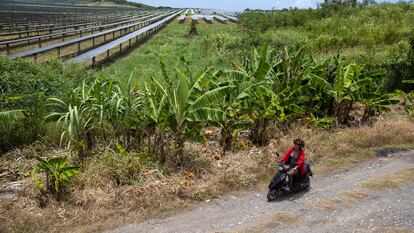 Una mujer pasa en su moto cerca de la verja que rodea la planta solar Girasol en el Municipio de Yaguate (República Dominicana), el 28 de julio 2023.