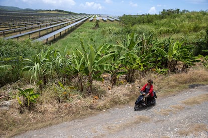 Una mujer pasa en su moto cerca de la verja que rodea la planta solar Girasol en el Municipio de Yaguate (República Dominicana), el 28 de julio 2023.