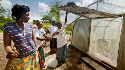 Un grupo de mujeres agricultoras en Katfoura, Guinea.