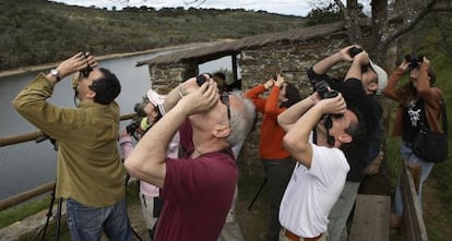 Observación de aves desde el Mirador de Portilla del Tiétar, en Monfragüe (Cáceres)