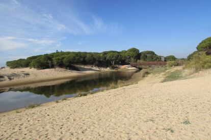 Our focus is on the far end of the Flecha del Rompido, a strip of sand that is part of a protected natural environment and which is accessible via ferry from the port of Cartaya. Sunglasses are a must in this soft and sandy lookout point into a riverlike natural landscape where the passing ships create a visual distraction.