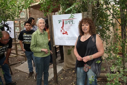 Jane Goodall y Elba Muñoz.