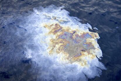 Imágenes captadas durante la campaña realizada por el Instituto Oceanográfico de Vigo, en la zona donde se hundió el 'Prestige'.