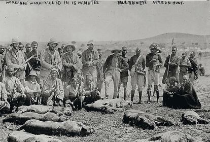 arios leones yacen en el suelo tras ser abatidos en una cacería sucedida entre 1910 y 1915 en un lugar indeterminado de África.