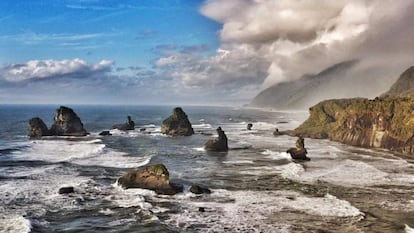 Paisaje litoral de la reserva marina y parque nacional Westland, en la escarpada costa oeste de la isla del Sur.