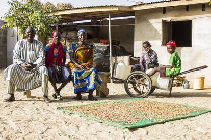 En el campo de refugiados Minawao en Camerún, Halila pudo de enviar un mensaje a su tía, Aisha Baha, que vive en Maiduguri. "No podía creer que hubieran encontrado a mi tía. Pero fue aún más sorprendente cuando me dijeron que iban a llevarme a su casa", recuerda Halima.