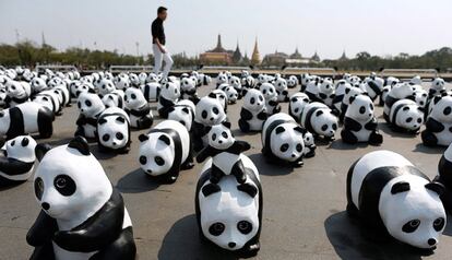 Miles de oso pandas de papel expuestos en Bangkok (Tailandia).