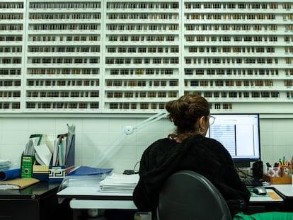 Una científica trabaja en el laboratorio del CIAT en Palmira, Colombia, en agosto de 2022.