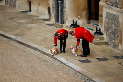 Los perros de la raza corgis, pertenecientes a la reina Isabel II, en el patio de armas del castillo de Windsor.