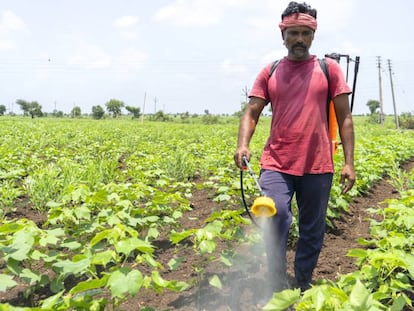 Un agricultor rocía fertilizante en un campo de India. 