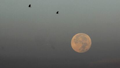 Vista de la la Superluna.
