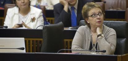 Carmen Martínez Aguayo, hoy miércoles en el Parlamento autónomo.