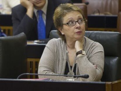 Carmen Mart&iacute;nez Aguayo, hoy mi&eacute;rcoles en el Parlamento aut&oacute;nomo.